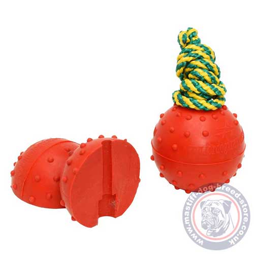 Mastiff Dog Water Toy