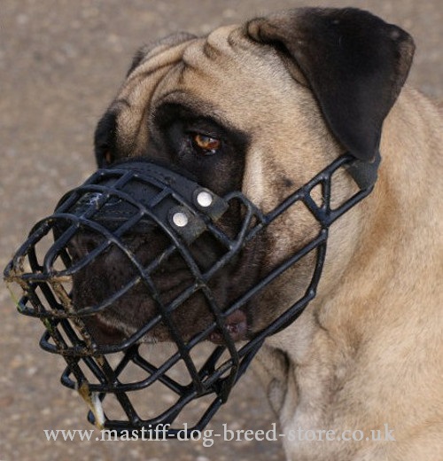 dog cage muzzles for mastiffs