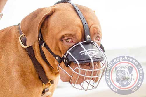 Basket Dog Muzzle for Dogue De Bordeaux