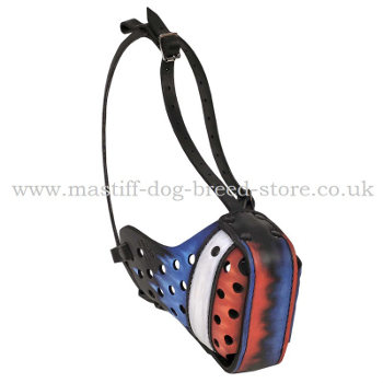 Mastiff Training Closed Dog Muzzle