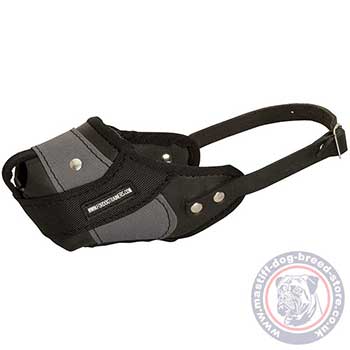 Mastiff Muzzle Leather and Nylon for Walking and Training