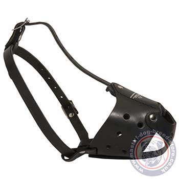 Leather Dog Muzzles for Mastiffs