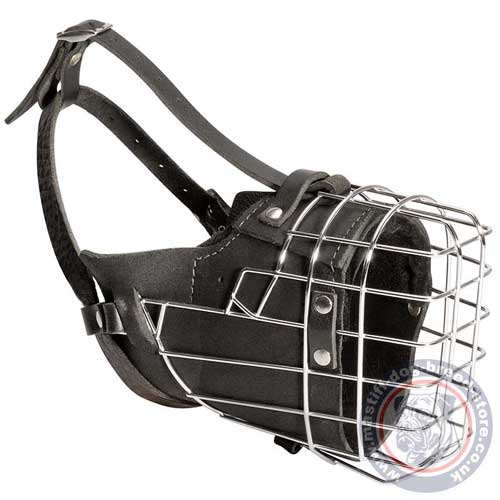 Basket Cage Dog Muzzle for Mastiff