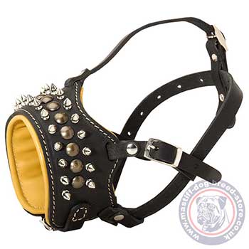 Mastiff Size Designer Dog Muzzle