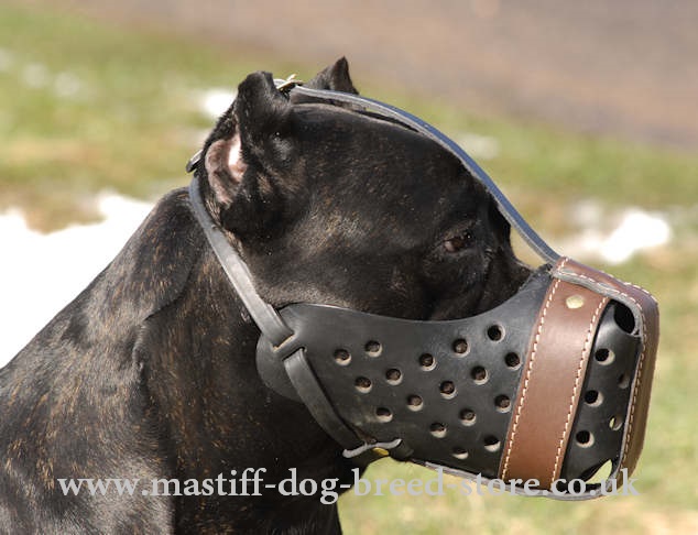 Mastiff Size K9 Dog Muzzle