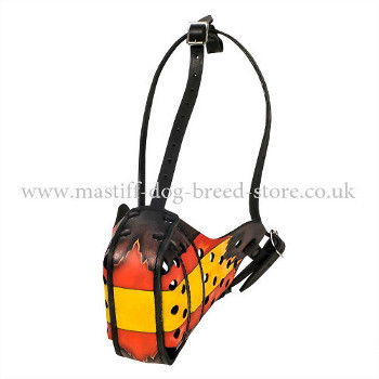 Big Dog Muzzle for Mastiff Training