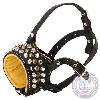 Padded Dog Muzzle for Mastiff Breeds