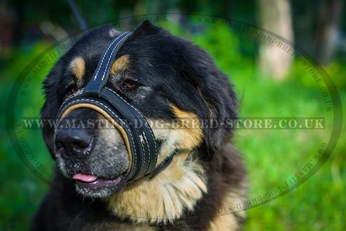 Soft Dog Muzzle for Tibetian Mastiff Size