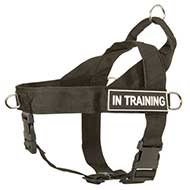 Pro Dog Harness for Mastiff To Stop Dog Pulling