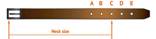 Bullmastiff collar size