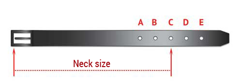 dog collar size