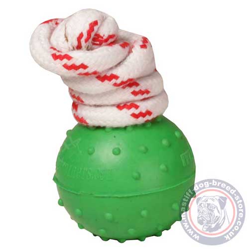 Rubber Dog Ball for Mastiff Puppy