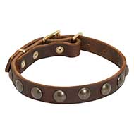 Leather Mastiff Collar