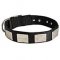 Neapolitan Mastiff Collars with Attractive Plated Design and Buckle