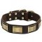 Dogue De Bordeaux Dog Collar with Brass Fittings