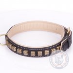 Tough Collar For Mastiff With Old Bronze-Like Studs "Cube"