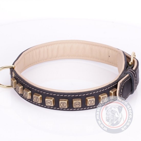 Tough Collar For Mastiff With Old Bronze-Like Studs "Cube"
