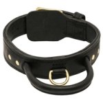 Mastiff Dog Collar with Handle for Effective Dog Training