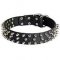 Quality Dog Collars with 3 Rows of Spikes for Bullmastiff