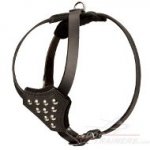 Soft Dog Harness Adjustable for Mastiff Puppy