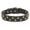 Mastiff Collars with Brass Diamonds