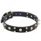 Embellished Dog Collars with Brass Skulls and Spikes for Mastiff Breeds