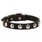 Strong Stuff Dog Collars for Mastiff with Metal Rivets