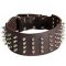 Large Dog Collar for Dogue De Bordeaux with Spikes