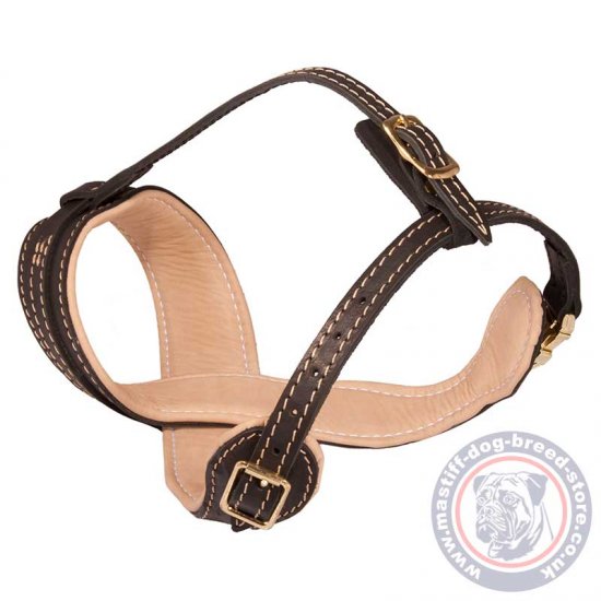 Soft Dog Muzzle for Stop Dog Barking, Tibetian Mastiff Size