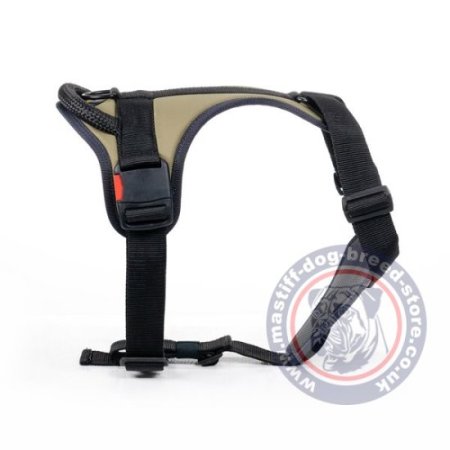 The Best Mastiff Harness for Large Chested Dogs