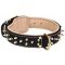 Luxury Dog Collar with Spikes and Soft Nappa Lining