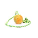 Hollow Rubber Dog Training Ball on Rope Launcher