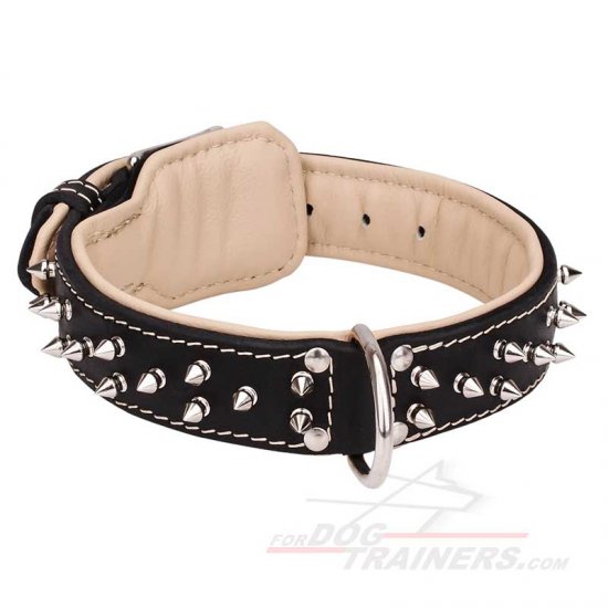 Soft Dog Collar for Big Dogs Like Mastiff, Nappa Padded and Spiked