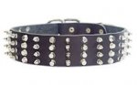Cane Corso Dog Collar with Spikes and Pyramids 2 Inch Wide