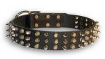 Unusual Dog Collar with Studs for Dogue De Bordeaux