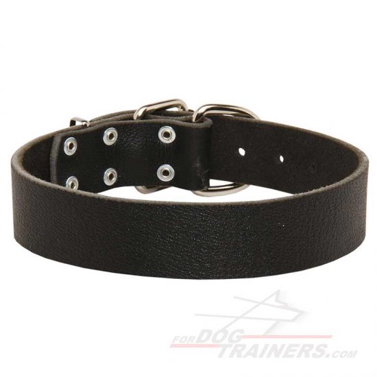 Leather Dog Collar For Great Dane "Easy Use"