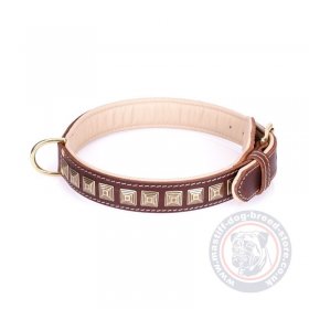 Mastiff Dog Collars With Shiny Studs "Cone"