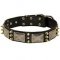 Mastiff Dog Collars with Nickel Plates and Brass Spikes