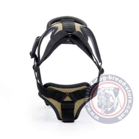 The Best Mastiff Harness for Large Chested Dogs