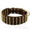 Extra Wide Dog Collars for Big Dogs with Amazing Brass Spiked Design