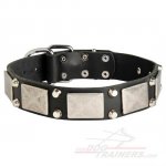 Handmade Leather Collar for Neapolitan Mastiff of Gladiator Style