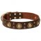 Strong Stuff Dog Collars for Big Dogs with Brass Medals