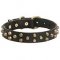Brass Studded Dog Collar for Cane Corso