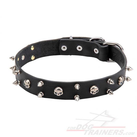 Dog Collar with Skulls and Spikes for Pirate Style of Your Mastiff