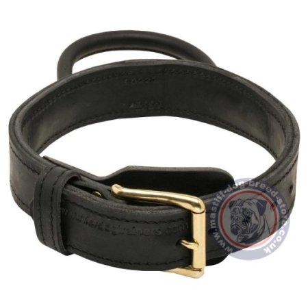 Mastiff Dog Collar with Handle for Effective Dog Training