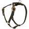 2 Ply Leather Dog Harness for Dogue De Bordeaux and Big Dogs