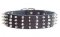 2 inch Wide Leather Dog Collar for Neapolitan Mastiff Spiked and Studded