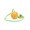 Hollow Rubber Dog Training Ball on Rope Launcher