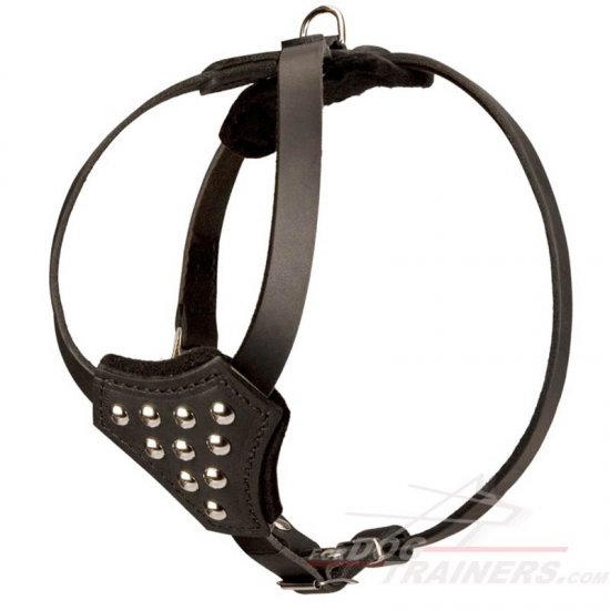 Soft Dog Harness Adjustable for Mastiff Puppy