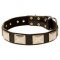 Large Breed Dog Collars for Mastiff Dogs with Massive Nickel Plates